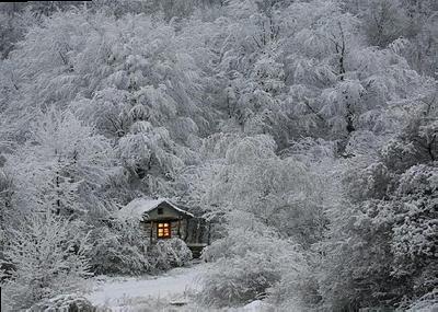 Зима рисует удивительную сказку ...