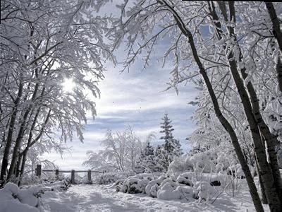 Зима рисует удивительную сказку ...