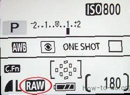 Как скачать Raw ( CR2) файлы с фотоаппарата Canon